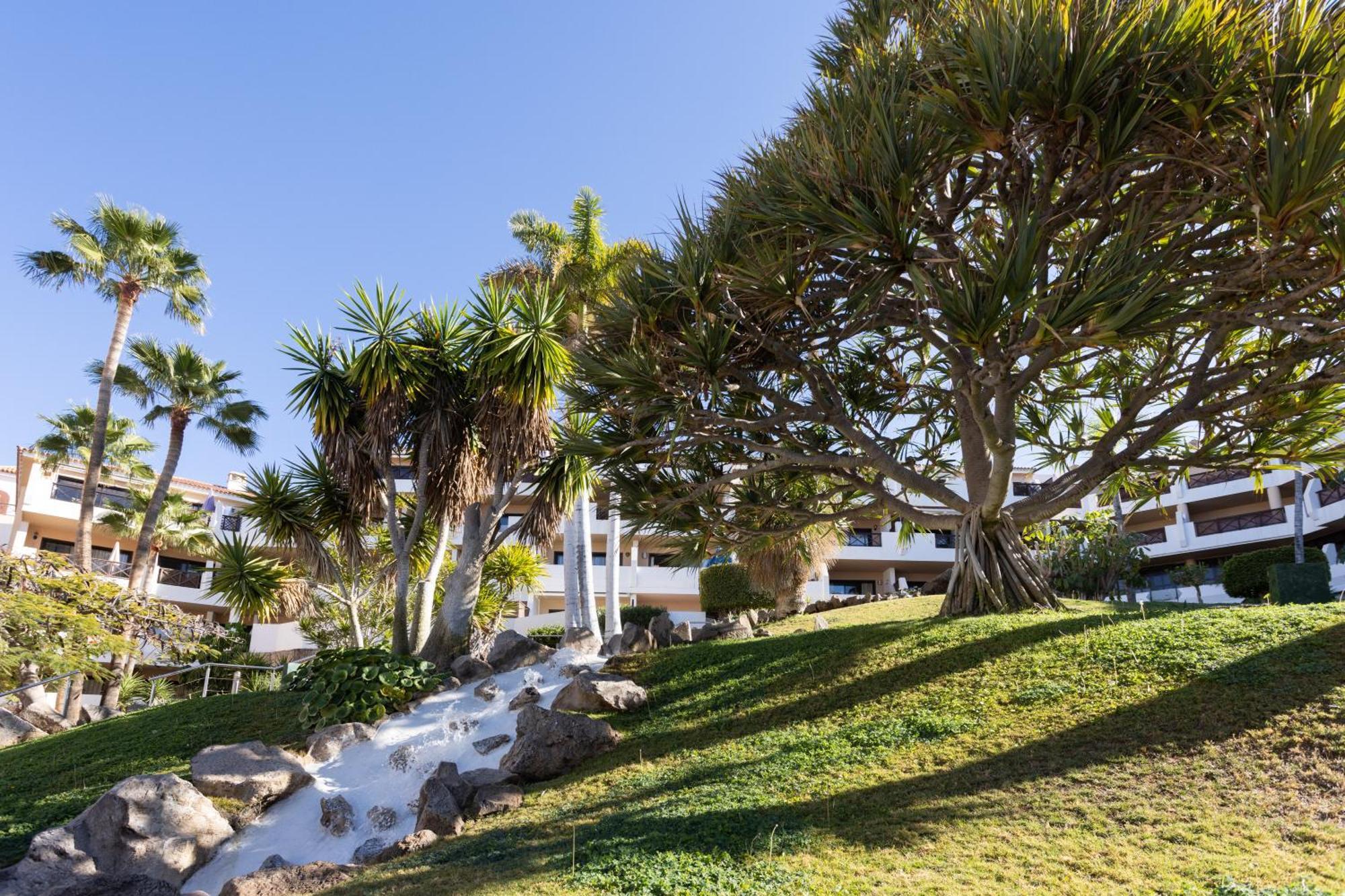 Albatros 433b In Tenerife South Appartement *